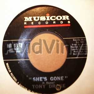 She's Gone  Let's Play Housey listings