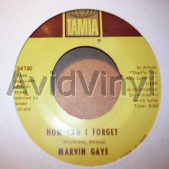 MARVIN GAYE - How Can I Forget / Gonna Give Her All The Love I've Got