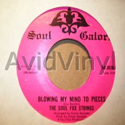 SOUL FOX STRINGS - Blowing My Mind To Pieces / Mountain Top Theme