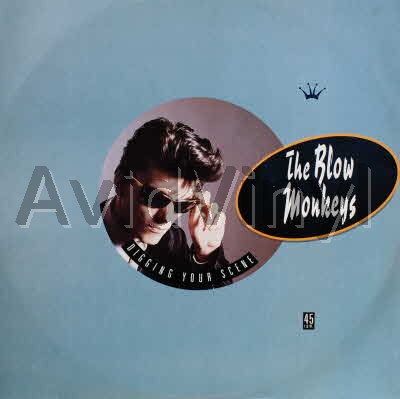 BLOW MONKEYS - Digging Your Scene / I Backed A Winner / Digging Your Scene Short Ans Long