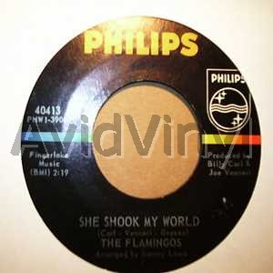 FLAMINGOS - She Shook My World / Itty Bitty Baby Record