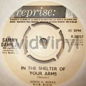 In The Shelter Of Your Arms