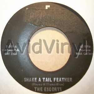 Click for more Shake A Tail Feather listings