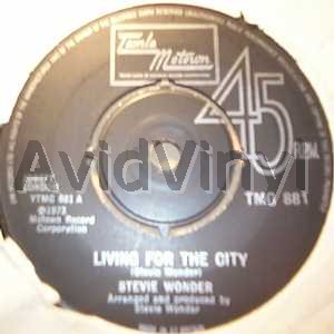 Wonder,Stevie Living For The City / Visions 45RPM