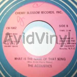 Acoustics What Is The Name Of That Song / Living In Hard Times 45RPM