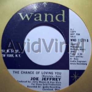 The Chance Of Loving You