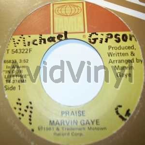 Gaye,Marvin Praise / Funk Me 45RPM