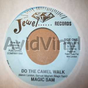 Do The Camel Walk  Every Nigh listings