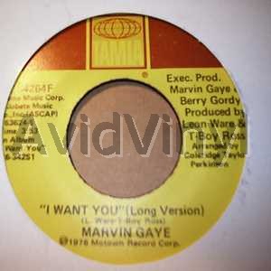 MARVIN GAYE - I Want You / Instrumental