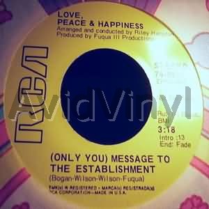 Love Peace & Happiness - Message To The Establishment