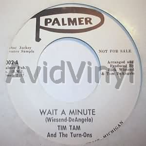 Tim Tam And The Turn Ons Wait+A+Minute+/+Opelia 45RPM