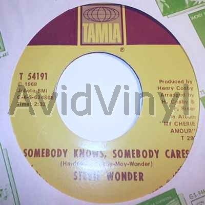 STEVIE WONDER - Somebody Knows, Somebody Cares / Never Had A Dream Come True