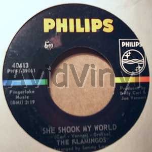 FLAMINGOS - She Shook My World / Itty Bitty Baby