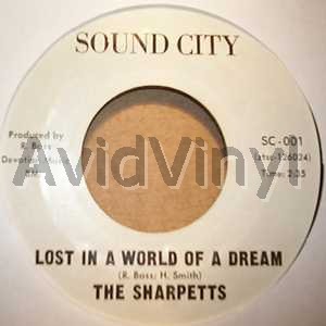 Lost In A World Of A Dream