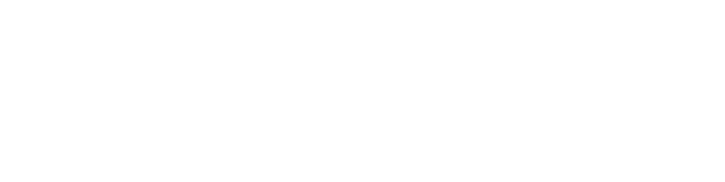 AvidVinyl