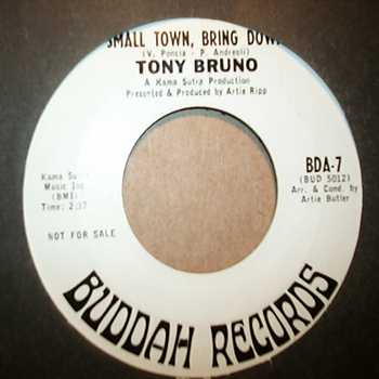 TONY BRUNO — SMALL TOWN, BRING DOWN / HELAINA record label scan