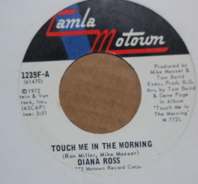 DIANA ROSS TOUCH ME IN THE MORNING / I WON'T LAST A DAY WITHOUT YOU