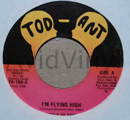 CIRCLE OF KERR I'M FLYING HIGH / INSTRUMENTAL