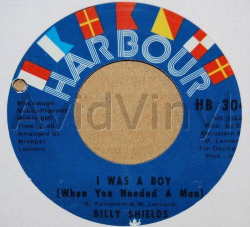 BILLY SHIELDS I WAS A BOY / MOMENTS FROM NOW TOMORROW