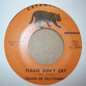 SOUND OF EXCITEMENT PLEASE DON’T CRY / WHY DID YOU GO