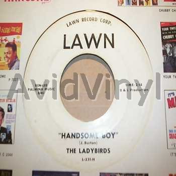 LADYBIRDS HANDSOME BOY / YES I KNOW