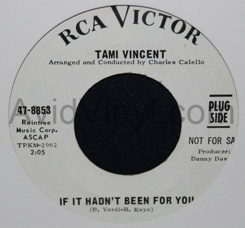 TAMI VINCENT IF IT HADN'T BEEN FOR YOU / WHEN I FALL IN LOVE