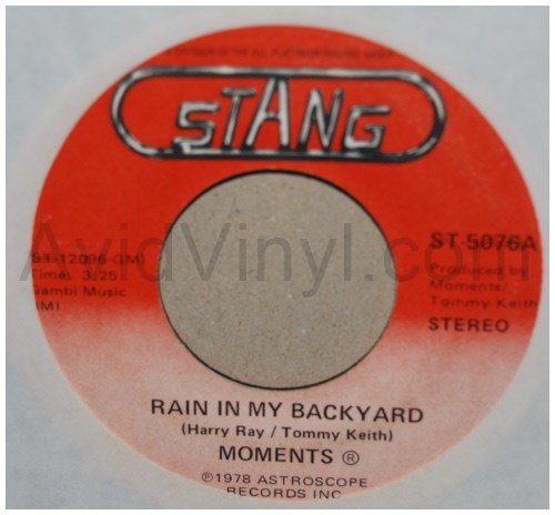 MOMENTS RAIN IN MY BACKYARD / DISCO MAN