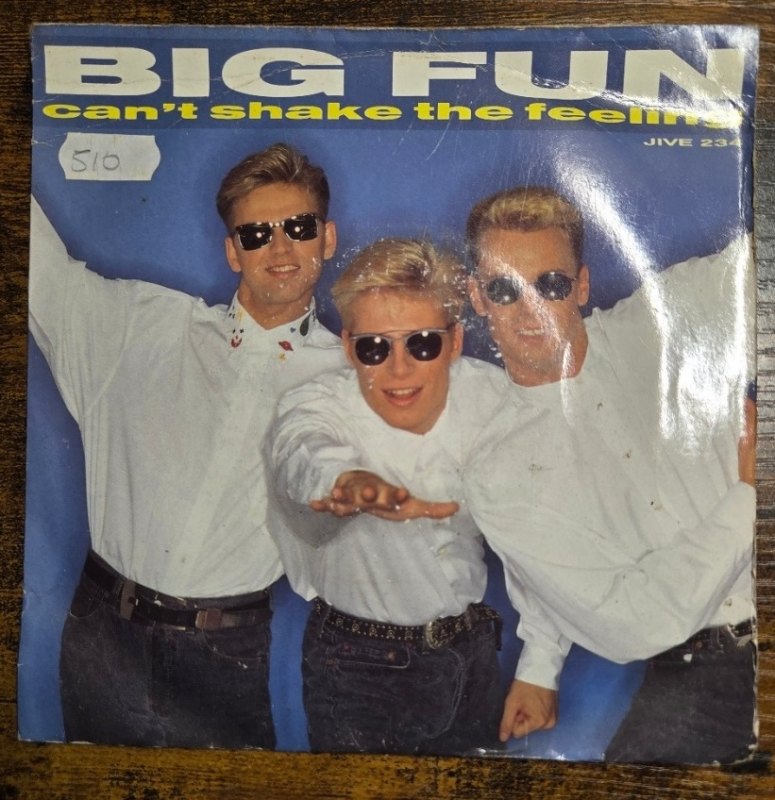 BIG FUN — CAN'T SHAKE THAT FEELING / DONT SAY IT'S OVER record label scan