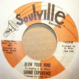 SOUND EXPERIENCE — 40 ACRES AND A MULE / BLOW YOUR MIND record label scan
