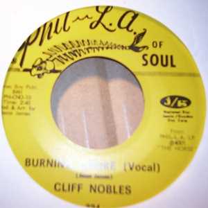 CLIFF NOBLES AND CO BURNING DESIRE / SWITCH IT ON