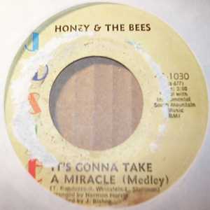 HONEY AND THE BEES IT'S GONNA TAKE A MIRACLE / WHAT ABOUT ME