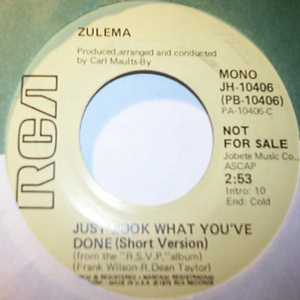 ZULEMA JUST LOOK WHAT YOU'VE DONE / LONG VERSION