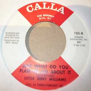 LITTLE JERRY WILLIAMS JUST WHAT DO YOU PLAN TO DO ABOUT IT / BABY YOU'RE MY EVERYTHING