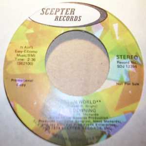 DON DOWNING — DREAM WORLD / SAME record label scan