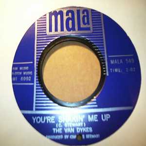 VAN DYKES YOU'RE SHAKIN' ME UP / YOU NEED CONFIDENCE