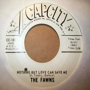 FAWNS — NOTHING BUT LOVE CAN SAVE ME / WISH YOU WERE HERE WITH ME record label scan