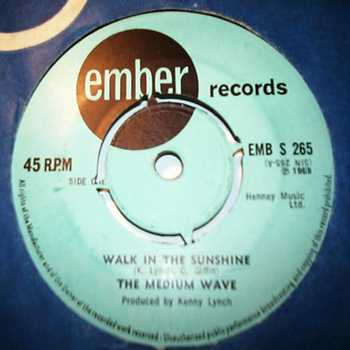 MEDIUM WAVE WALK IN THE SUNSHINE / LOOKING TOWARDS THE SKY