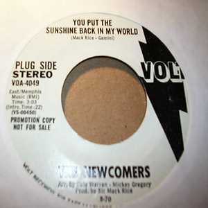 NEWCOMERS YOU PUT THE SUNSHINE BACK IN MY WORLD / SAME