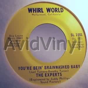 EXPERTS YOU'RE BEIN BRAINWAHED BABY / WAKE ME UP WHEN IT'S OVER