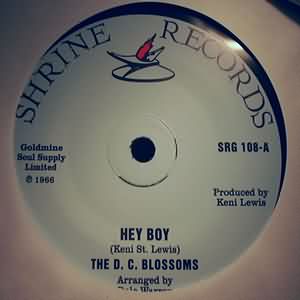 D. C. BLOSSOMS HEY BOY / I KNOW ABOUT HER
