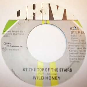WILD HONEY AT THE TOP OF THE STAIRS / PT2