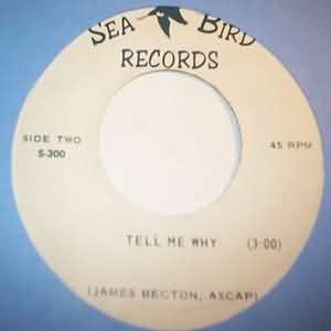 JAMES BECTON — TELL ME WHY / HOW MUCH I LOVE YOU record label scan
