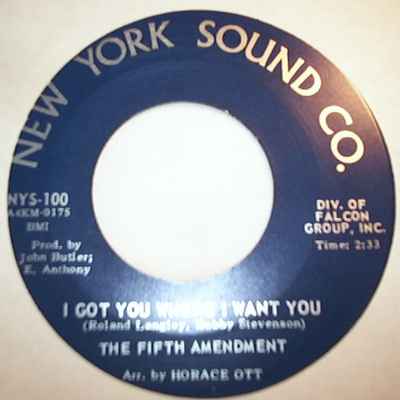 FIFTH AMENDMENT — I GOT YOU WHERE I WANT YOU / PLEASE DON'T LEAVE ME NOW record label scan