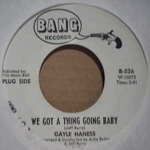 GAYLE HANESS WE GOT A THING GOING BABY / WHEN YOUR BABY SAYS GOODBYE